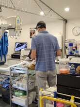 Purpose built veterinary facility