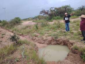water harvesting options
