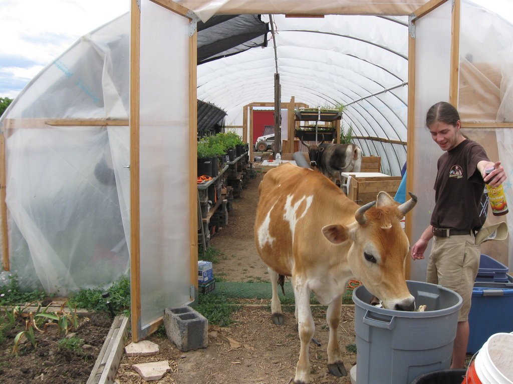 Prepare Feed Denver Farms 4 Winter Growing Season
