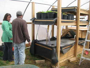 Aquaponics structure