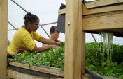 Prepare Feed Denver Farms 4 Winter Growing Season