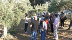 Field Visit