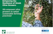 Enhancing the Resilience of Greek Olive Growers