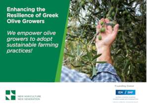 Enhancing the Resilience of Greek Olive Growers