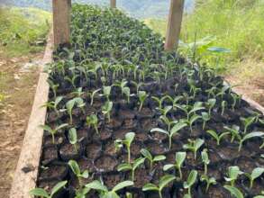 Wise use of water for crops