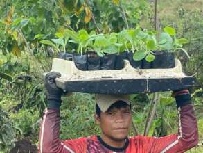 Food growing
