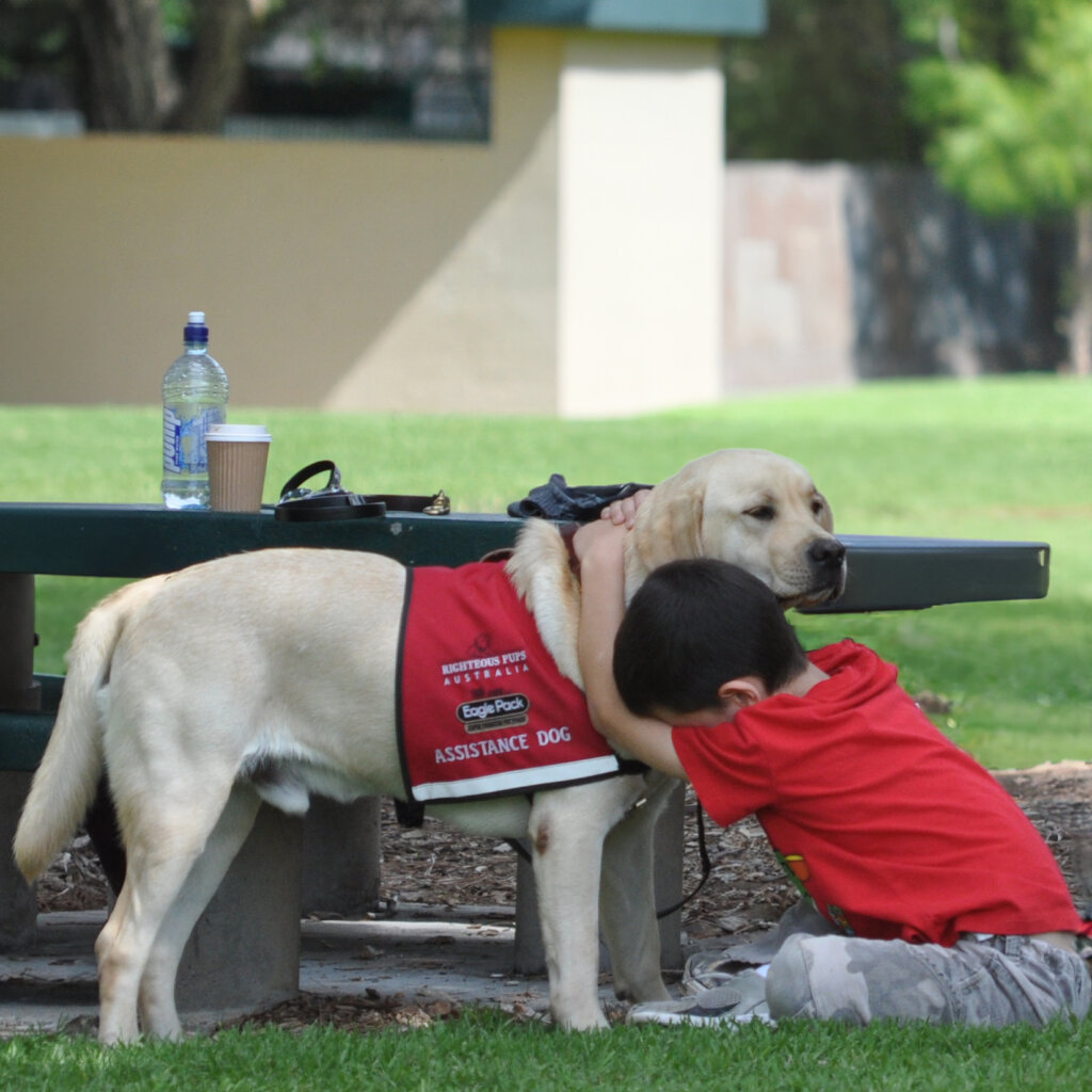 Pawsitive Lifelines