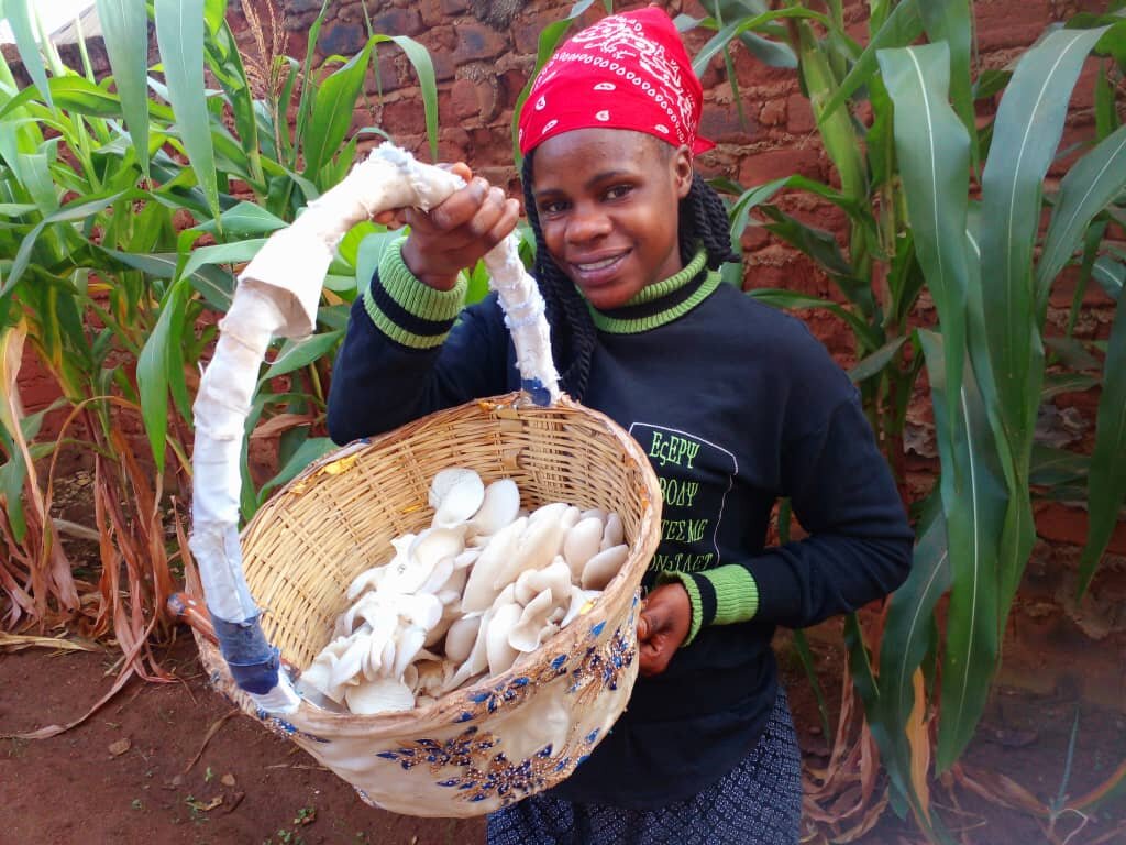 Help Ugandan Women Make Money with Mushrooms!