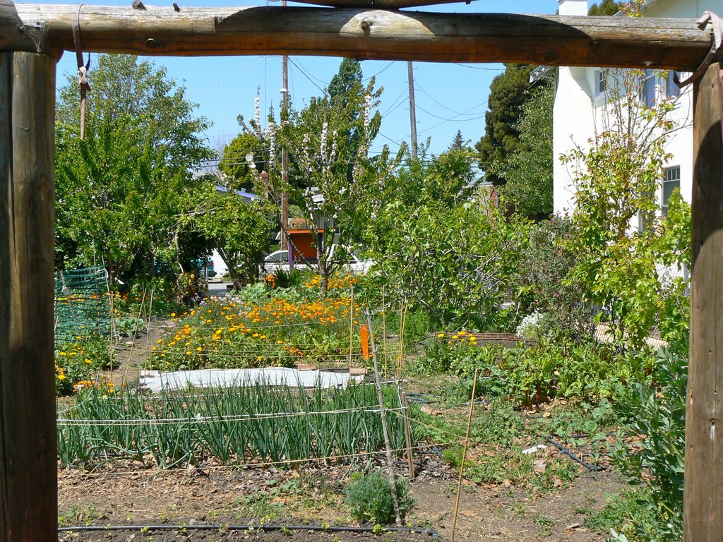 Improve Access to Healthy Food in West Oakland