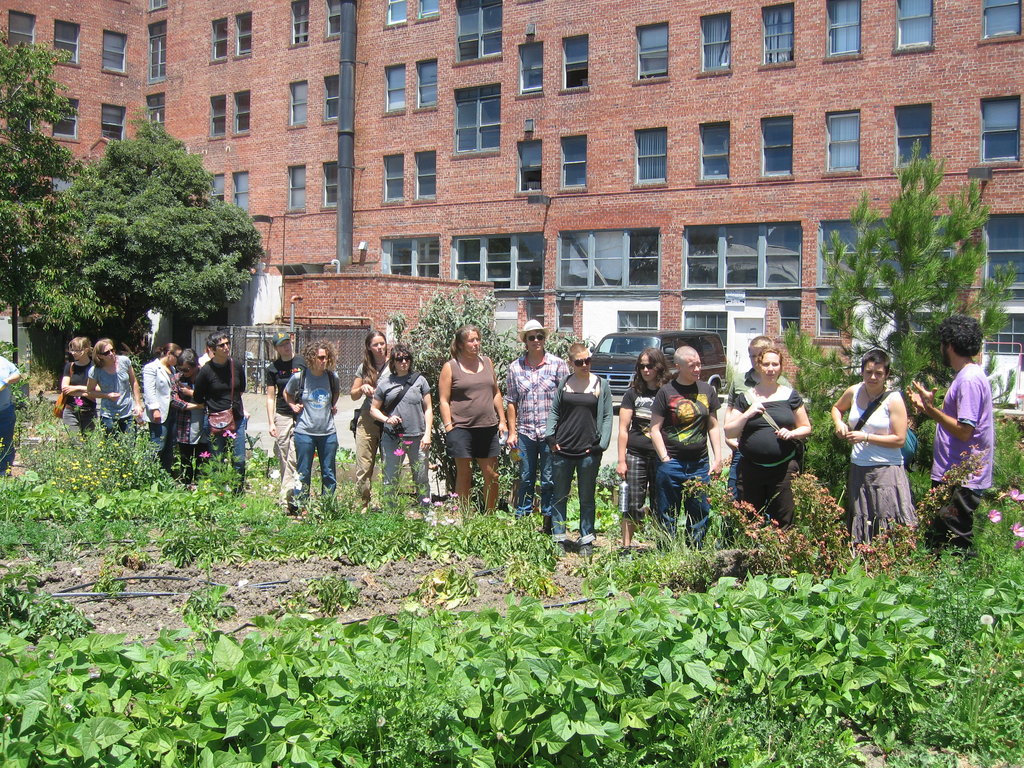 Improve Access to Healthy Food in West Oakland