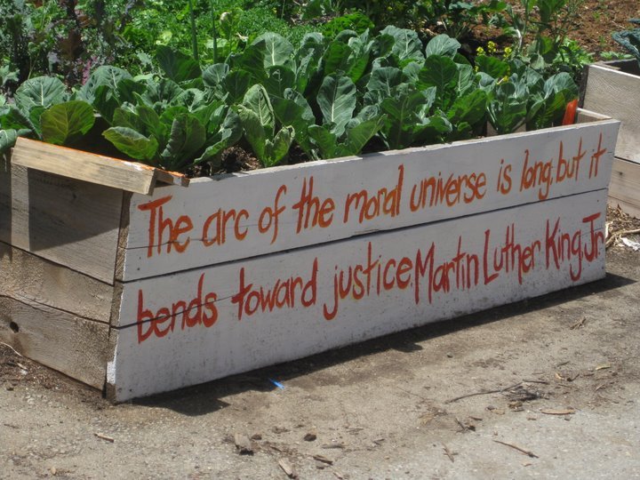 Improve Access to Healthy Food in West Oakland