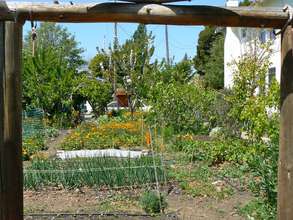 55th Street Garden