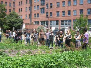 Our Garden at the Historic California Hotel
