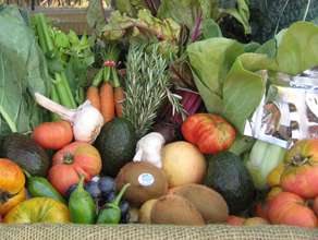 Grub Box: Our Community CSA