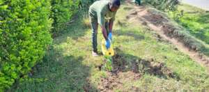 A Youth Planting and watering tees in Karamba