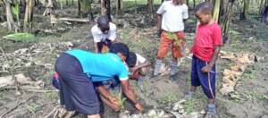 Tree Planting at New Valey Junio