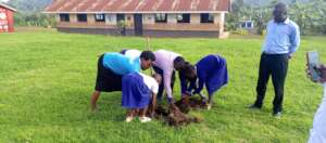 Tree Planting at Kaboyo rimay