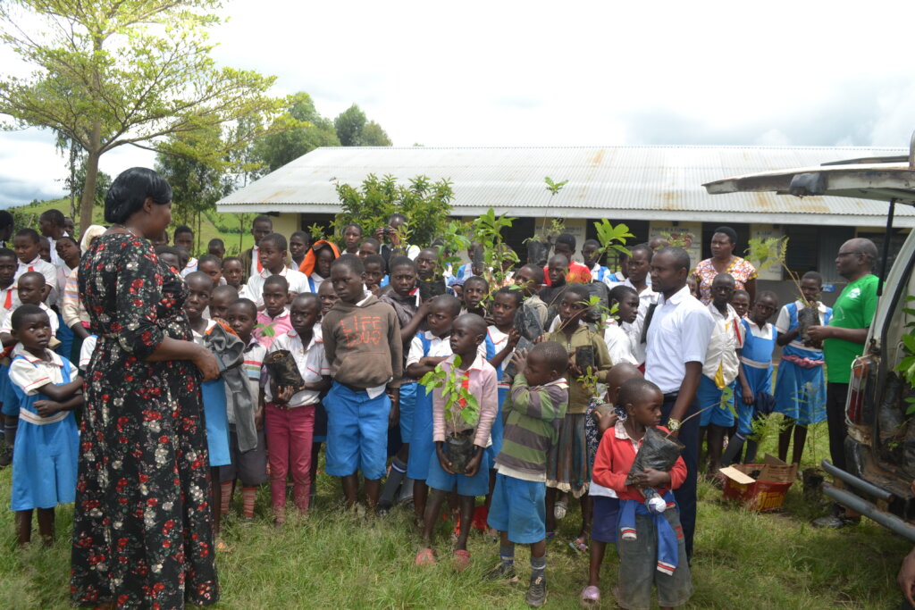 Support Greening Uganda Schools 1,000,000 Trees