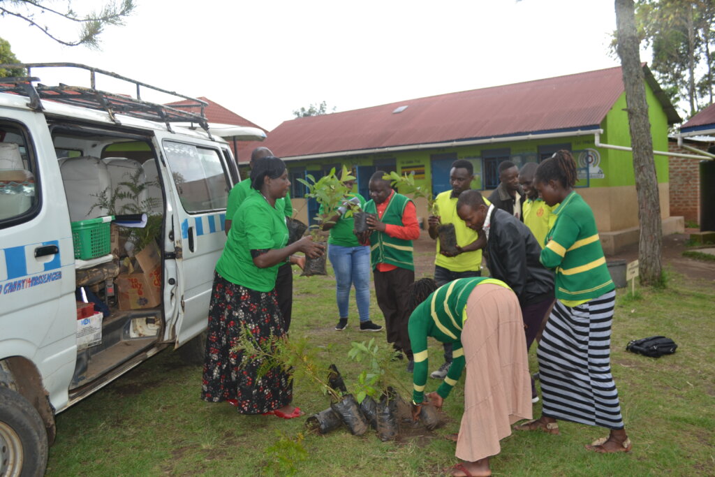 Support Greening Uganda Schools 1,000,000 Trees