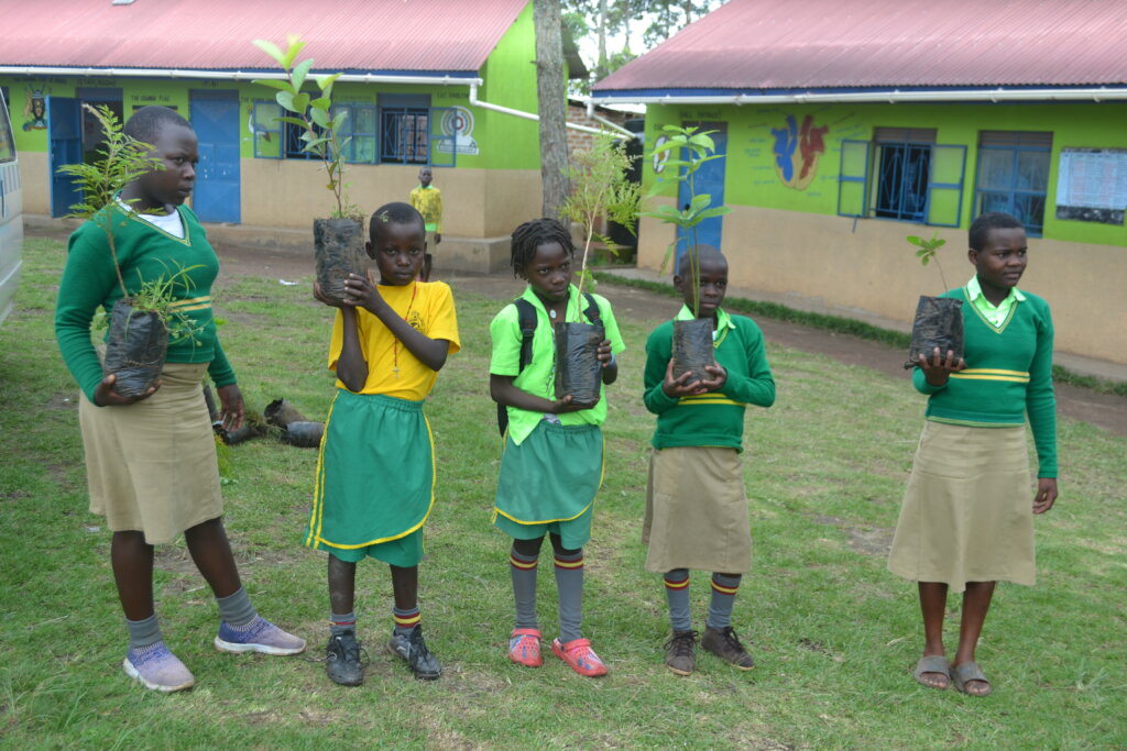Support Greening Uganda Schools 1,000,000 Trees