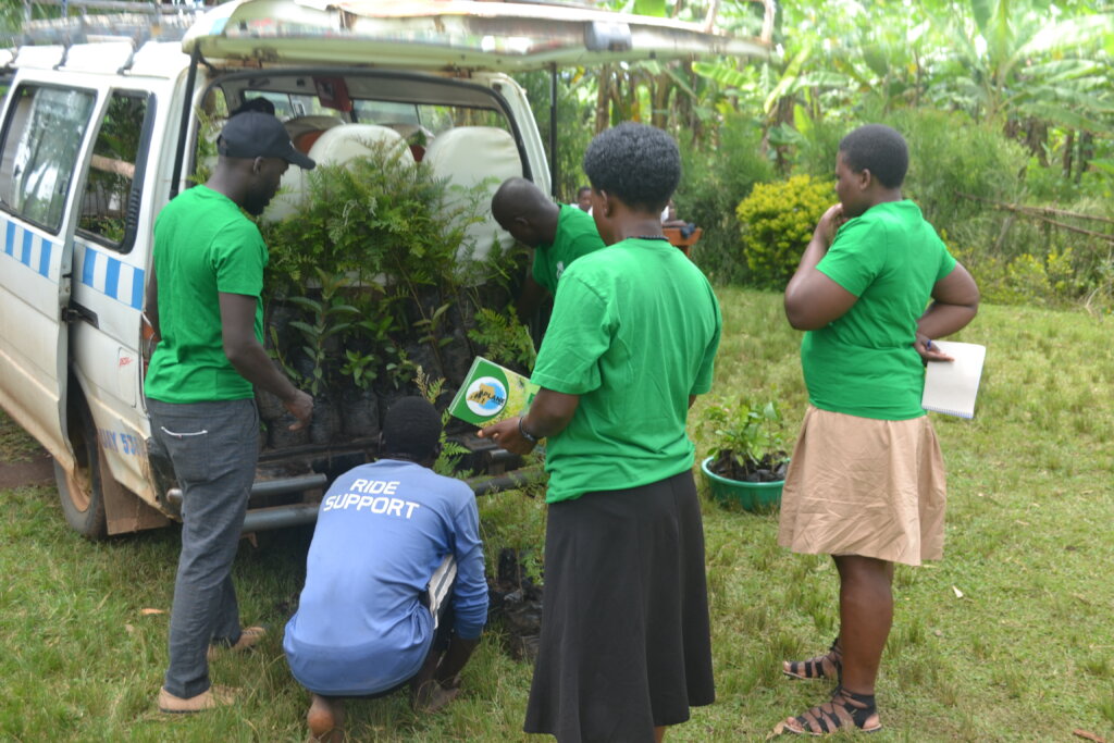 Support Greening Uganda Schools 1,000,000 Trees