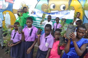 Instilling the discipline of planting trees