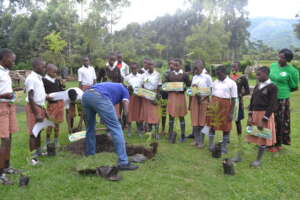Green Valley Junior School Plant Trees