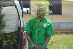 Ou Staff offloading trees ready for planting