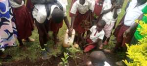 Children watering the tree seedlings