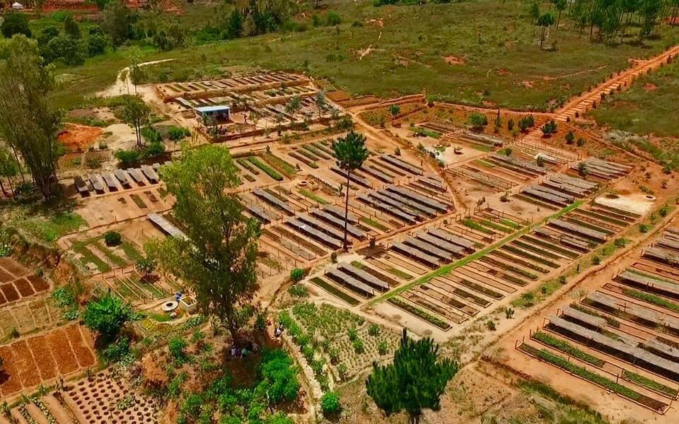 Earth Day 2025 -  WE plant trees, YOU Fly Greener