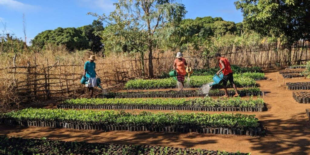 Earth Day 2025 -  WE plant trees, YOU Fly Greener