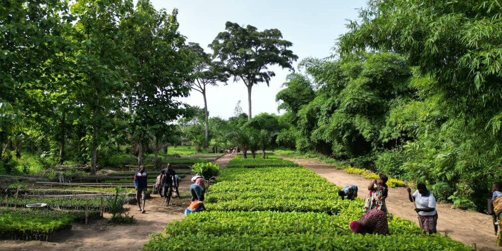 Earth Day 2025 -  WE plant trees, YOU Fly Greener