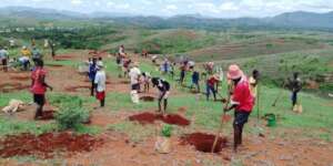 Locals earn livelihood