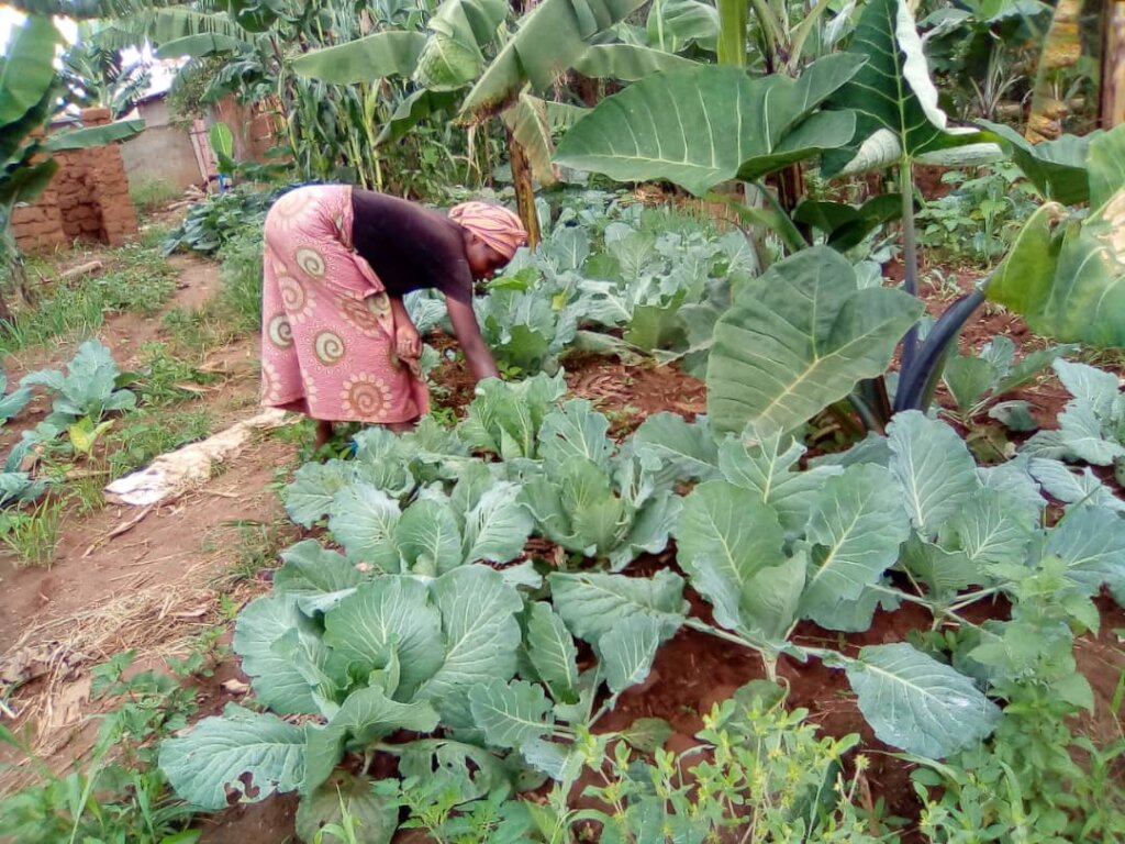 Help a Refugee Mother Feed Her Children