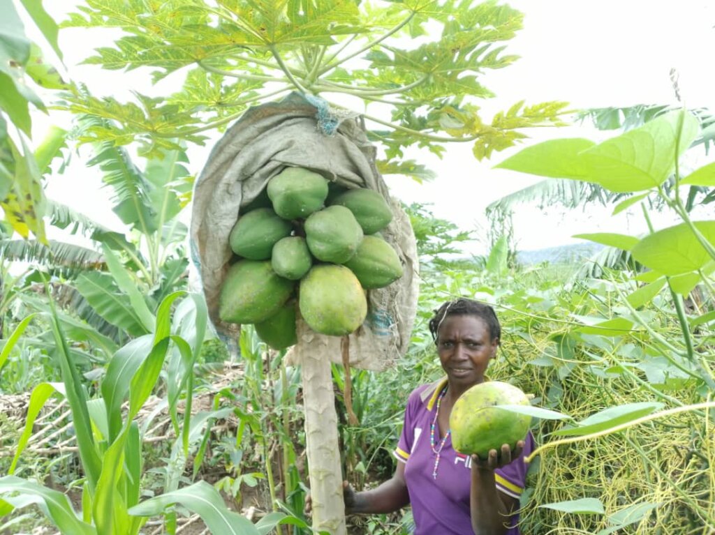 Help a Refugee Mother Feed Her Children