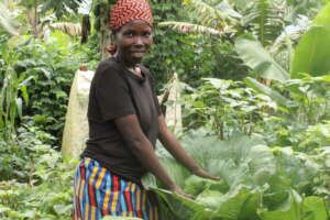 Help a Refugee Mother Feed Her Children