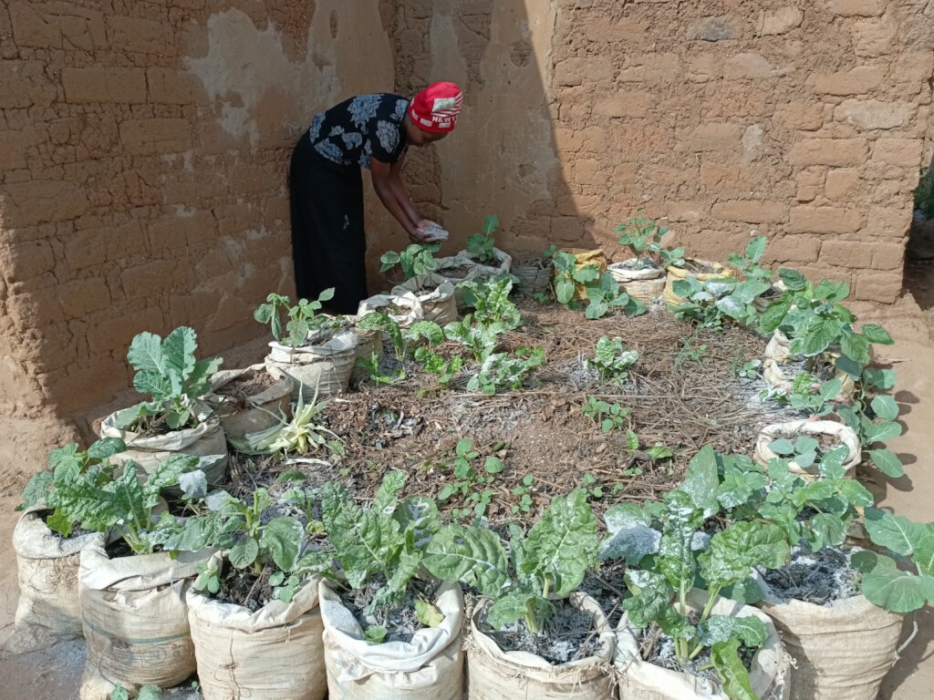 Farmer taking care of her sack garden