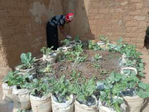 Farmer taking care of her sack garden