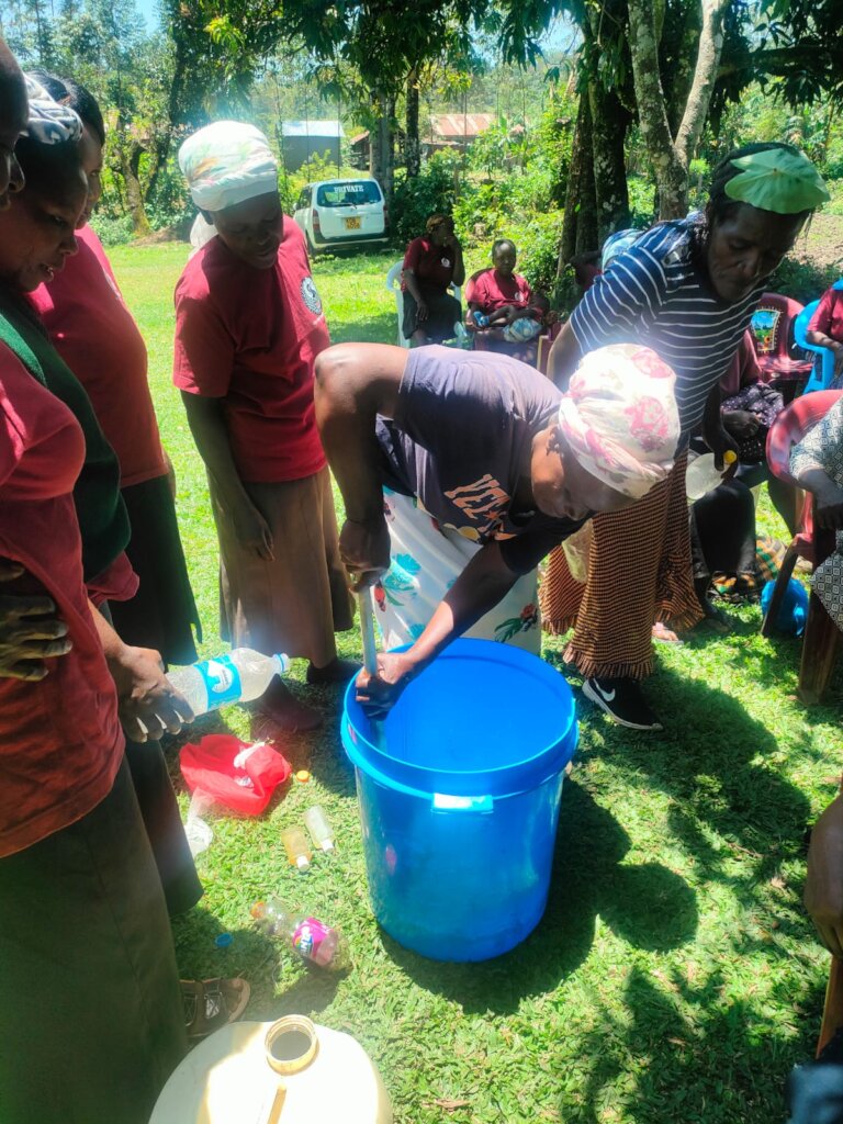 Modify lives of widows and widowers in rural kenya