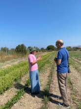 Field Visit in Kos Island, Greece