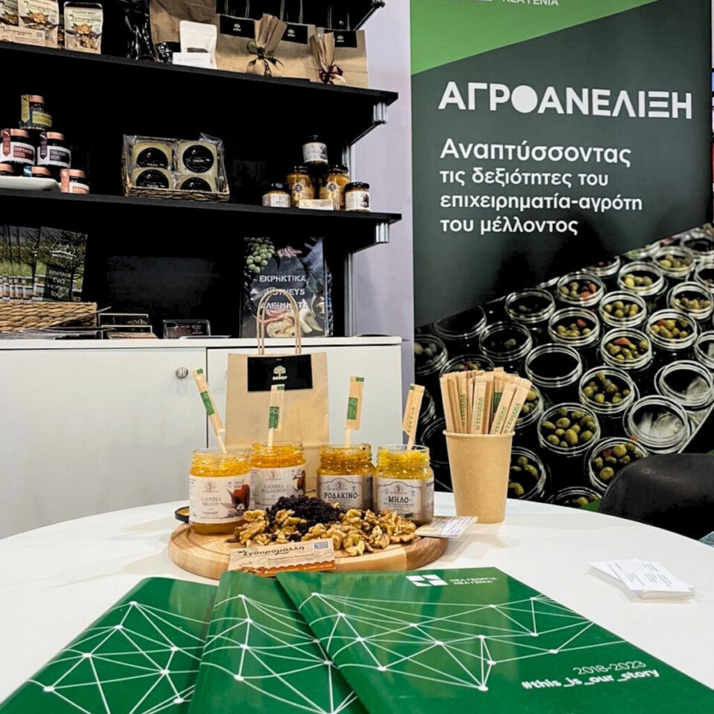 Empowering Greek Rural Heroes with Business Skills