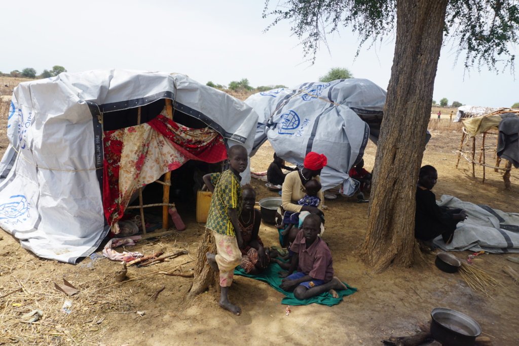 IDP Camp