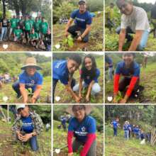Volunteers planting in Nuario