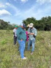 Scouting land to reforest