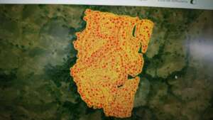 Monitoring map. Each red dot is a tree planted.