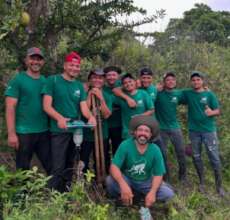 Part of the Magnificos