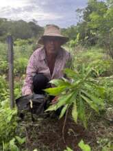 Local Producer Planting Trees