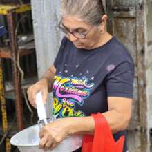 Learning how to do organic fertilizers