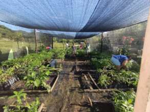 Community Nursery