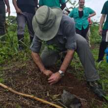 The minister of environment planting a tree